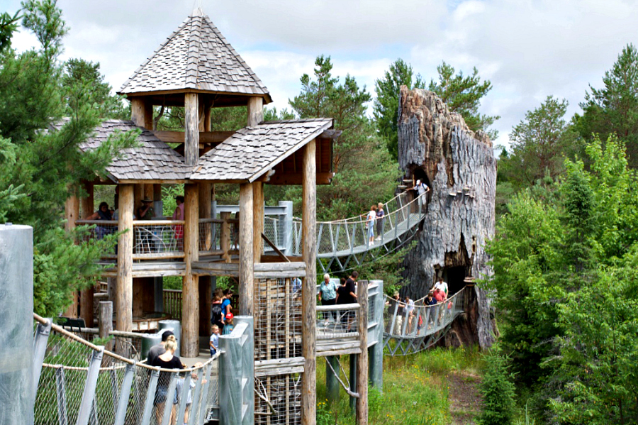 Adirondack Vacation: The Wild Center - Room For Joy